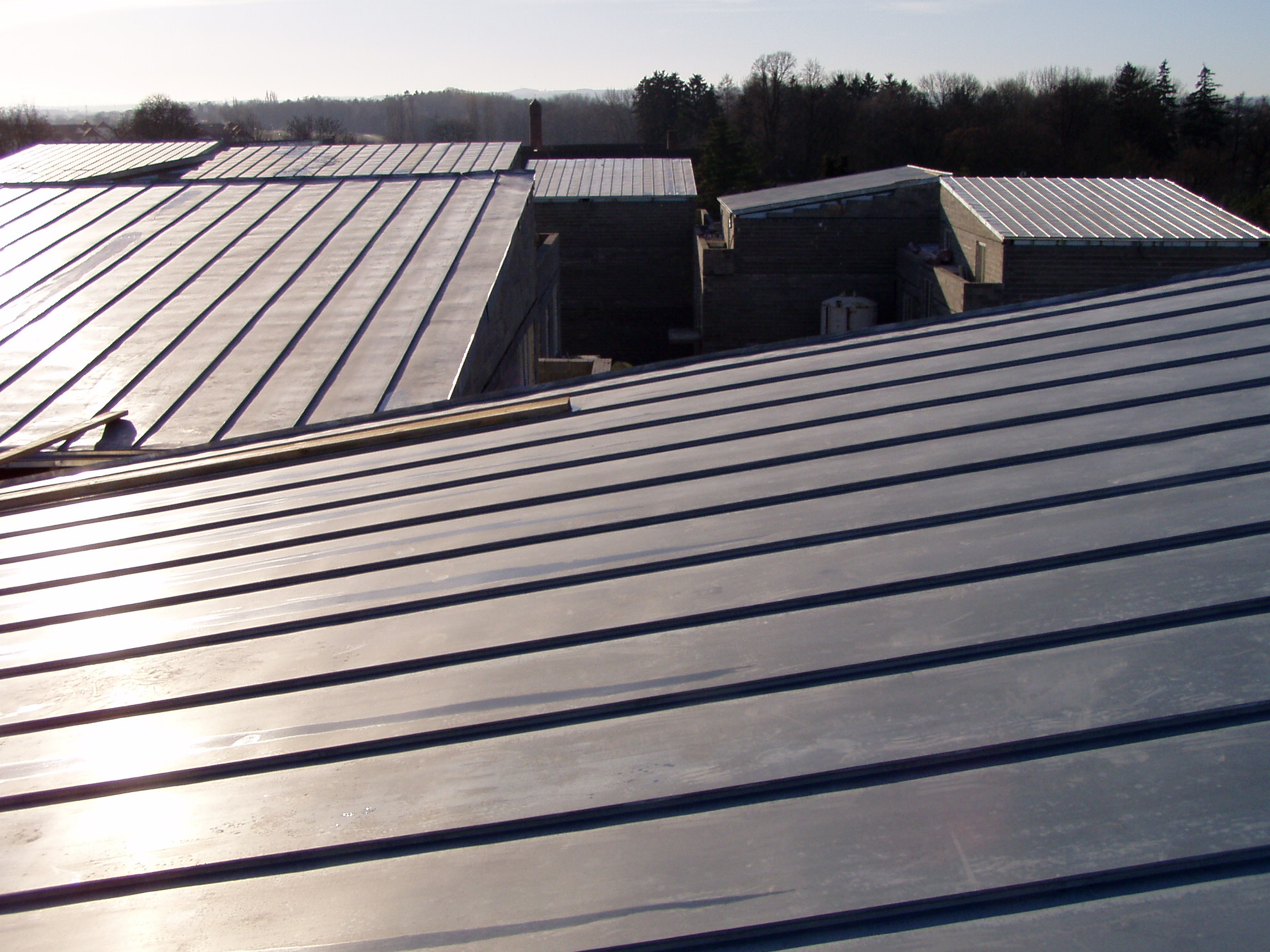 /album/fotogalerie/p3300008-jpg/